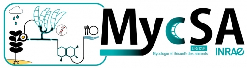 MycSA-LABORATOIRE DE MYCOLOGIE ET SÉCURITÉ DES ALIMENTS - UPR 1264-INRAE