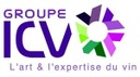ICV-VVS