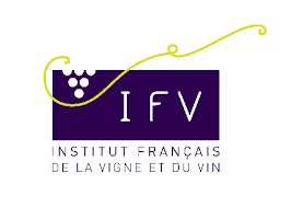 IFVV - INSTITUT FRANÇAIS DE LA VIGNE ET DU VIN - L'ISLE SUR TARN