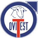 OVITEST