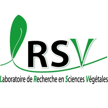 LRSV - LABORATOIRE RECHERCHE EN SCIENCES VÉGÉTALES - UMR 5546 - UT3PS/CNRS/INPT