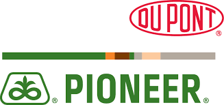 PIONEER SEMENCES