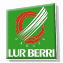 LUR BERRI
