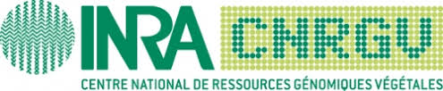 CNRGV - CENTRE NATIONAL DE RESSOURCES GÉNOMIQUES VÉGÉTALES - (EX UPR 1258)