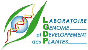 LGDP - LABORATOIRE GENOME ET DEVELOPPEMENT DES PLANTES - UMR 5096-CNRS/UPVD