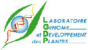 LGDP - LABORATOIRE GENOME ET DEVELOPPEMENT DES PLANTES - UMR 5096-CNRS/UPVD