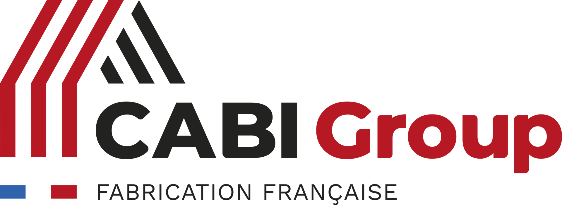 CABI GROUP - SAS DI.ST.EL