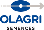 OLAGRI SEMENCES