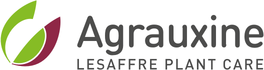 AGRAUXINE
