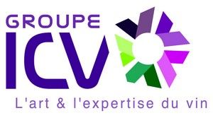 ICV-VVS