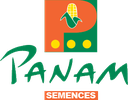 PANAM FRANCE