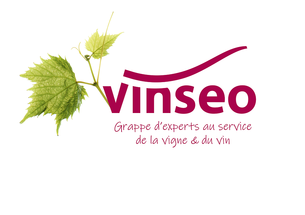 VINSEO