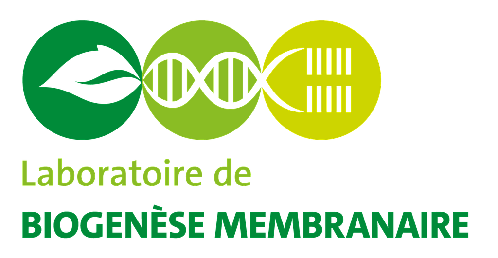 LBM - LABORATOIRE DE BIOGENESE MEMBRANAIRE - UMR 5200-CNRS/UBordeaux