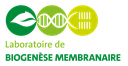 LBM - LABORATOIRE DE BIOGENESE MEMBRANAIRE - UMR 5200-CNRS/UBordeaux