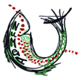 NUMéA - Nutrition, Métabolisme, Aquaculture - UMR 1419  - INRAE/UPPA