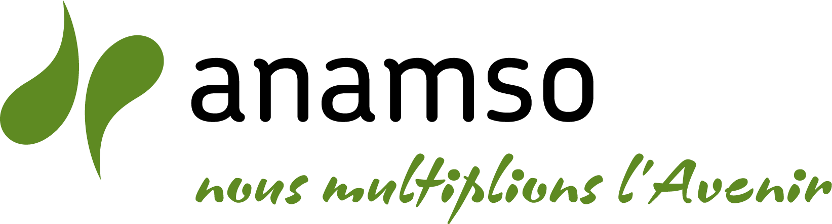 ANAMSO